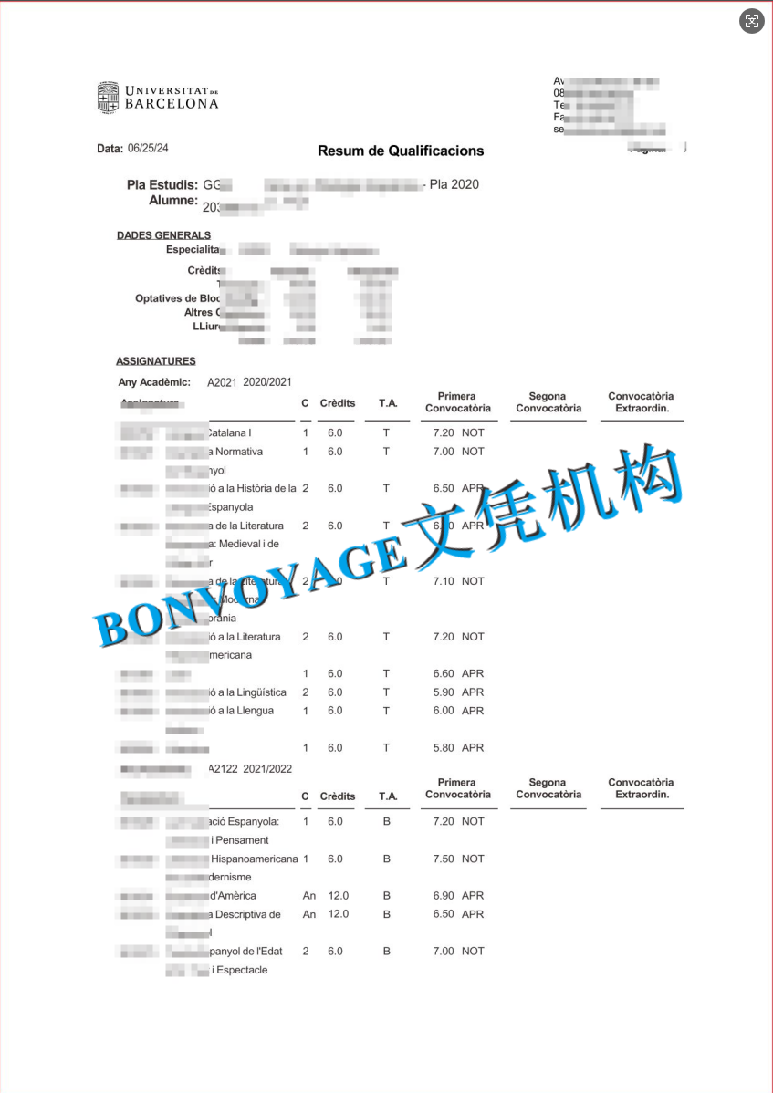 巴塞罗那大学成绩单电子版pdf样品